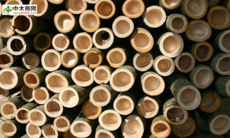 一站式服务，尽在中木商网 木材采购与资讯的首选平台