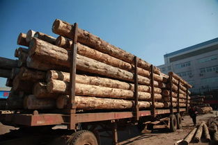 我国木材产品消费量跃居世界前列与木材加工行业发展