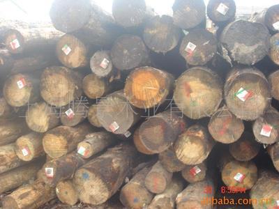 进口优质木材加工 新西兰辐射松、南美花旗松与落叶松供应