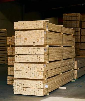 芬林芬宝与德国Cordes集团 以长期合作引领锯材业务的卓越与共赢