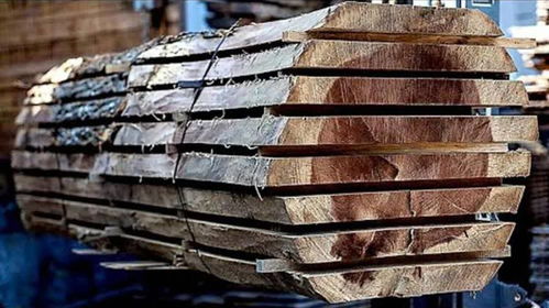 揭秘国外现代化木材加工全过程 高效、精准与可持续的艺术